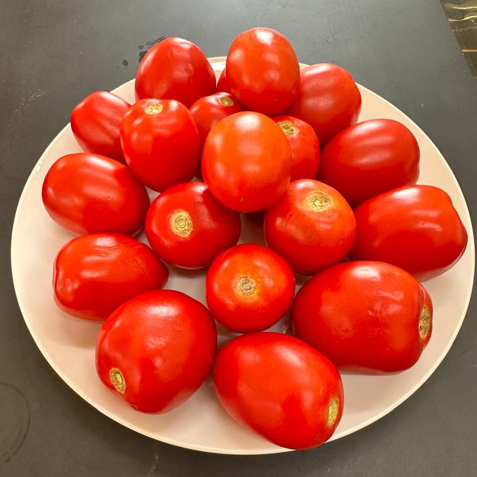 Tomato